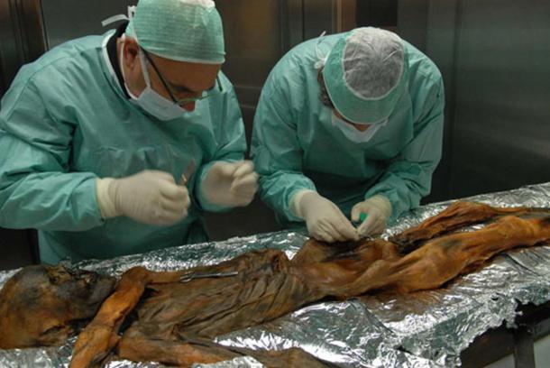  5,300-Year-Old Otzi the Iceman Yields Oldest Known Human Blood
