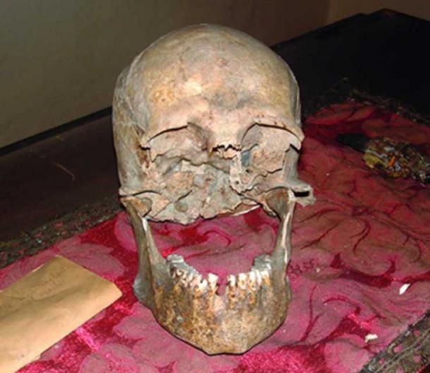 Researchers want to know for certain if this is the skull of Pliny the Elder