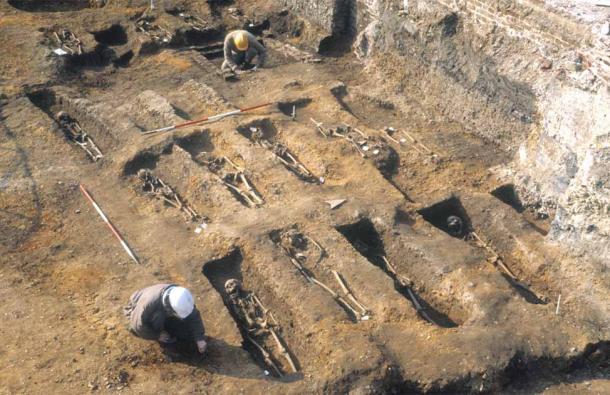 Los investigadores han extraído ADN de los restos de personas enterradas en los pozos de peste de East Smithfield, que se utilizaron para entierros masivos en 1348 y 1349. (Museo de Arqueología de Londres/MOLA)