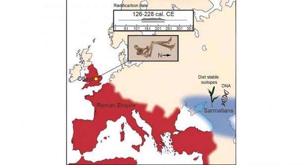 Researchers revealed Sarmatian individual unearthed in Cambridgeshire ate plants available in Sarmatia within Western or Northern Europe (in blue) until the age of 5 or 6. (Marina Silva et al. /Current Biology)