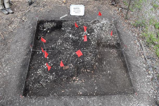 Researchers excavated evidence of the fort’s structure, which included the earliest-known New World example of a concrete-like mixture called tabby. (Image: Amanda Roberts Thompson / Historical Archaeology)