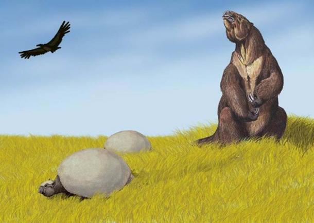 Restoration of Glyptodon in South American environment, alongside Megatherium or ground sloth. (CC BY-SA 3.0)