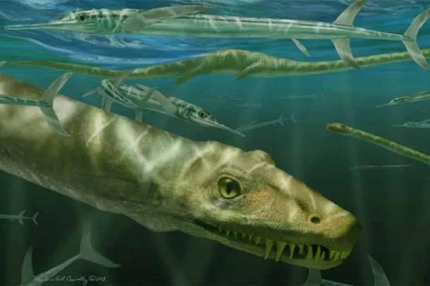 Restoration of Dinocephalosaurus orientalis depicted among a shoal of the large, predatory actinopterygian fish, Saurichthys. (Artwork copyright Marlene Donnelly/Cambridge Core)
