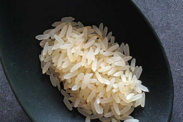 Rice is a very important food for much of the world 