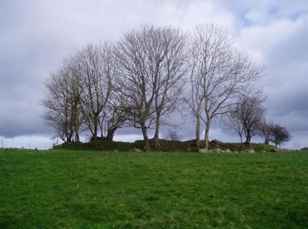 Ringfort at Cabragh, Ireland. Ringforts are common in the Irish countryside.
