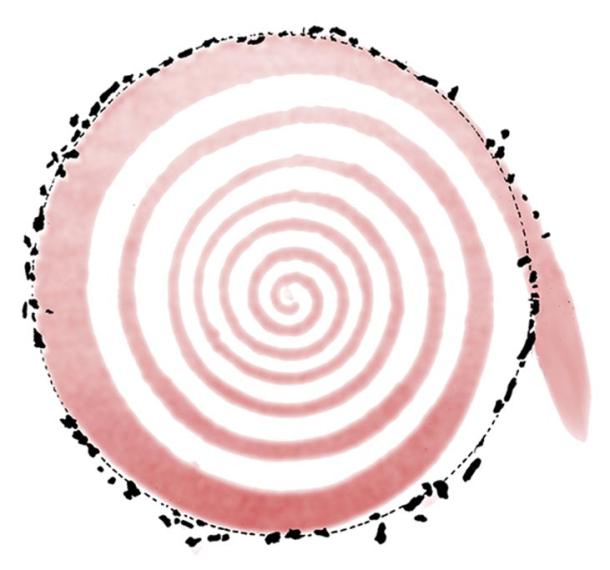 Magnetomer survey image of the Rollright Stones. Adapted from Charles Brooker. Magnetism and Standing Stones, New Scientist, January 13, 1983