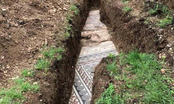 Este antiguo mosaico romano también se encontró en Verona, a pocos metros debajo de una hilera de vides, la semana en que se reanudó el trabajo después del bloqueo del coronavirus. (Ayuntamiento de Negrar de Valpolicella)