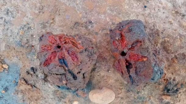 The Roman ritual center was located near a spring. Among the remains found in a water tank was a 2,000-year-old flower, preserved by the waterlogged soil conditions. (Museum of London Archaeology)