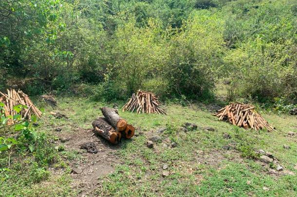 Sacred site Mount Kwitutu at Mfangano Island. (Avi Kumar)