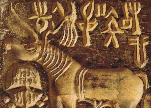 Sample of the Indus Script from a seal found at Mohenjo Daro. (Peter / CC BY-NC-SA 2.0 DEED)