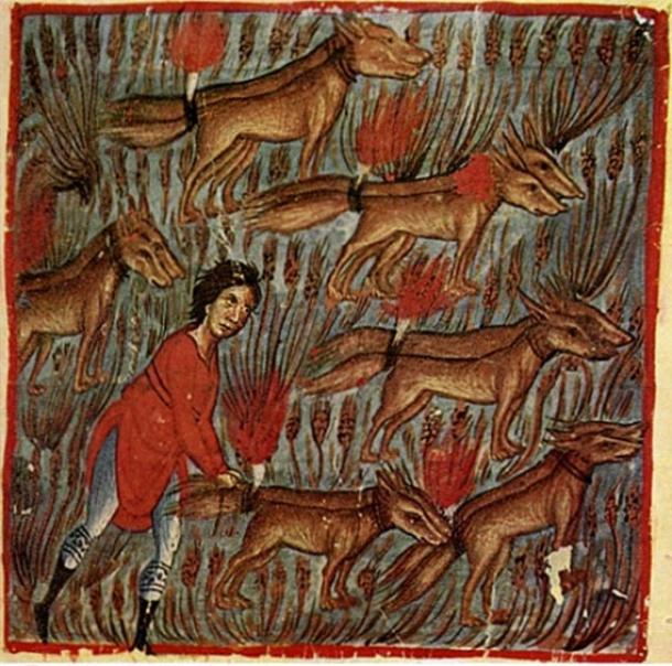 Samson and the Foxes, miniature (Judges 15:1-8: 