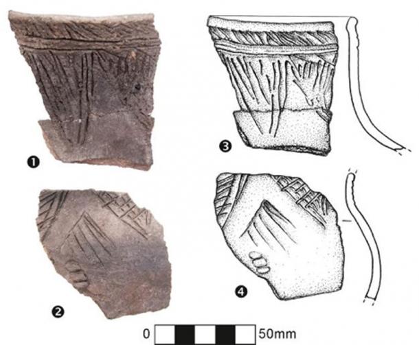 San Pedro sherds, 2015. (Kanomata et al. 2019)
