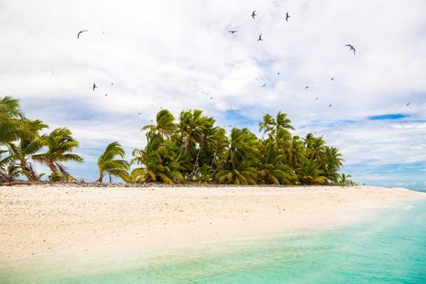 Sandy beach, flock of birds flying. Funafuti atoll, Tuvalu, Polynesia, South Pacific, Oceania. (Dmitry/ Adobe Stock)