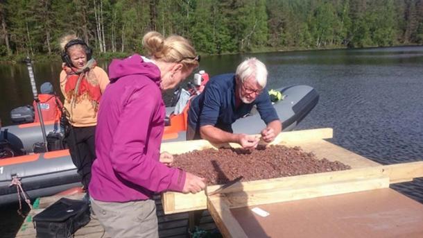 Satu Koivisto and Jørgen Dencker examining bottom sediments. Image: Eveliina Salo/Nordic Maritime Group.