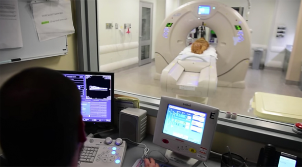 Los estudios científicos que utilizan tomografías computarizadas han demostrado que las reglas para la momificación son menos rígidas de lo que se pensaba anteriormente. (Captura de pantalla / YouTube)