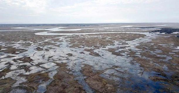 Los científicos dicen que la isla Kotelny tiene el asentamiento paleolítico más al norte. (Innokenty Pavlov/The Siberian Times)