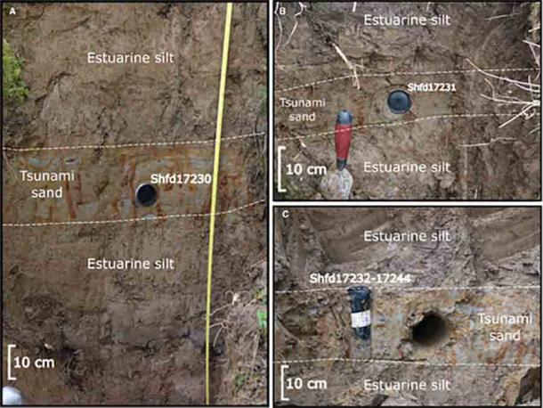 Sections sampled for tsunami sediments. A. Cliff exposed at edge of Montrose Basin near Maryton sample for luminescence. B. Small exposure at edge of Montrose Basin about 200 m further west also sampled for luminescence dating. C. Vertical sample through tsunami sand collected from (A) for further luminescence, particle size and ICP analysis. (Bateman et al. 2021)