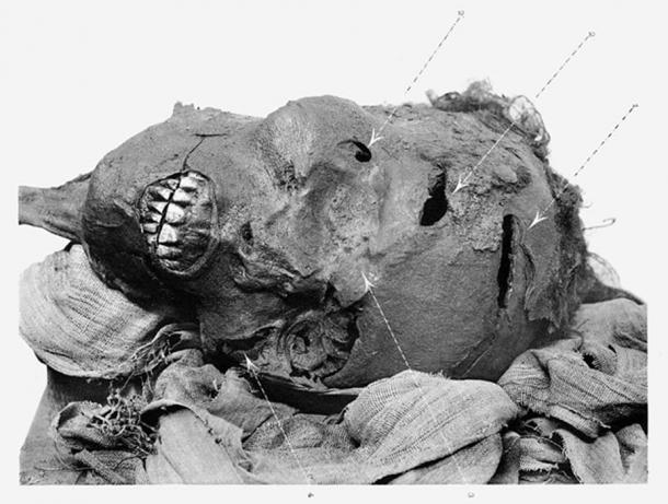 Mummified head of Sequenenre Taa II depicting his battle wounds
