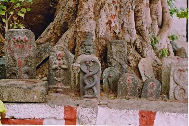 Serpent deity reliefs in India. (Dineshkannambadi / CC BY-SA 3.0)