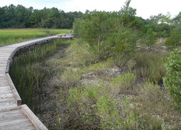 Sewee Shell Ring, located south of Awendaw, South Carolina in Francis Marion National Forest, USA. 
