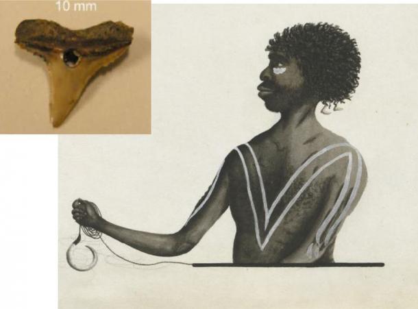 Sharks tooth ornament overlain on an image painted at Port Jackson of an Aboriginal man with fishing gear and fish teeth hair ornaments. Excerpt from a work by the Port Jackson Painter 1788-1792. (The Conversation)