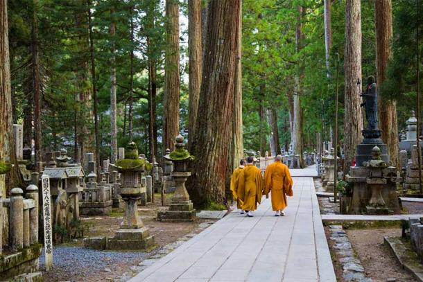 Monaci buddisti Shingon nelle loro vesti color zafferano che passeggiano durante il giorno nel cimitero di Okunoin di Koyasan.  (caroline75005 / Adobe Stock)