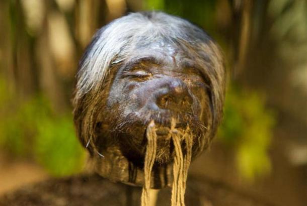 Shrunken head, Ecuador.