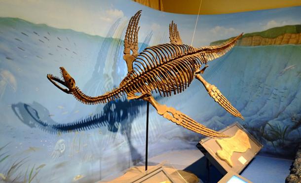 Scientists Finally Closing in on Nessie, The Loch Ness Monster | Ancient  Origins