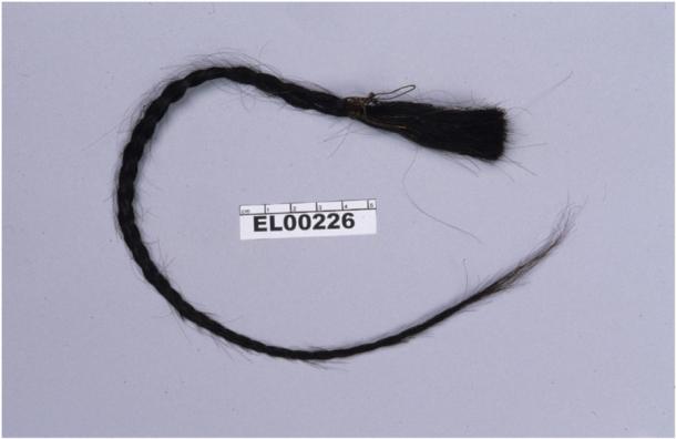 Sitting Bull’s scalp hair lock “released” from the Smithsonian artifact vaults in 2007. (Department of Anthropology, Smithsonian Institution / Science Advances)