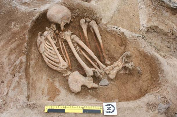 Restos óseos de un cementerio del 1800 a.C. AD proporcionó pistas sobre los patrones de matrimonio de la Edad del Bronce. (EASE Arqueología)