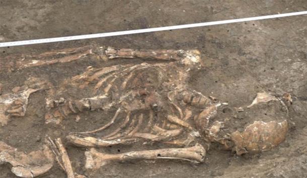 Skeleton of high status Sarmatian warrior discovered near Krasnodar, Russia. (Russian Highways)