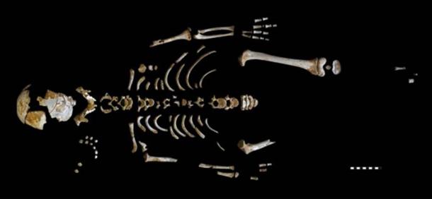 Skeleton of the Neanderthal boy recovered from the El Sidrón cave (Asturias, Spain).