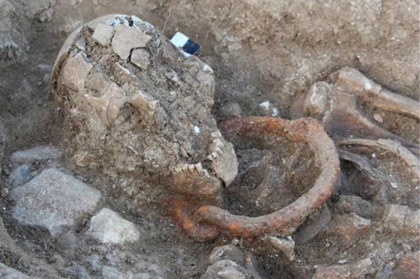 Skeleton with Iron bondage collar around the neck