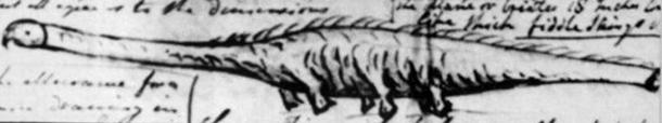 Sketch of the Stronsay beast made by Sir Alexander Gibson in 1808.