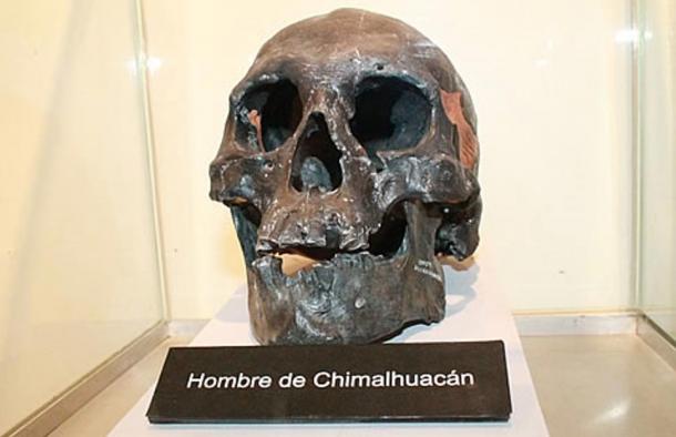 The Skull of Chimalhuacán Man, in the eastern part of Mexico State, Mexico. 