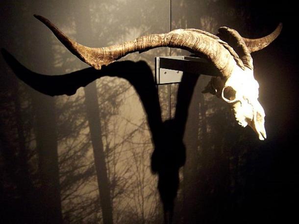 Skull of a male goat, associated with the devil in witches covens in Zugarramurdi.