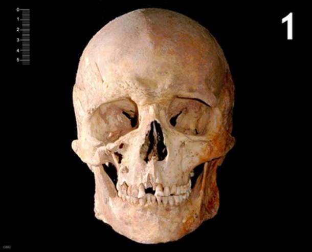 Cráneo del esqueleto del que se analizó el ADN.