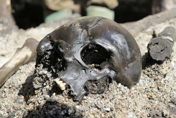 Skulls are scattered around thighbones and joints in the great mass grave at Alken. Image: Skanderborg Museum