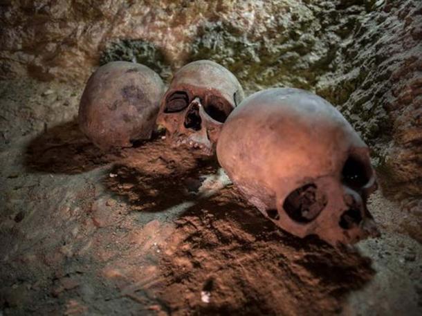 Skulls were uncovered at the ancient Egyptian cemetery, in Minya province, Egypt. (Image: Ibrahim Youssef, EPA)