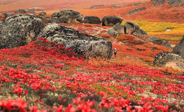 Smooth rocks at Bering Land Bridge National Reserve. (CC BY 2.0)