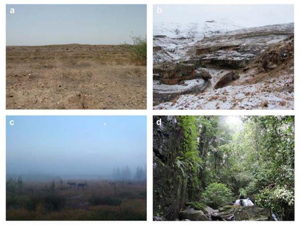 Some of the ecological challenges faced by Pleistocene H. sapiens. a. The Thar Desert of northwest India at the site of Katoati. Credit: James Blinkhorn. b. The highlands of Lesotho at the site of Sehonghong. Credit: Brian A. Stewart. c. The Siberian steppe of Russia. Credit: Yuri Demyanov. d. The tropical evergreen rainforest of Sri Lanka in the vicinity of one of the earliest occupied sites in the region. Credit: Patrick Roberts. (Roberts and Stewart. 2018.)
