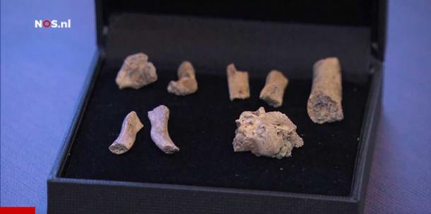 Some of the remains found in the burial.