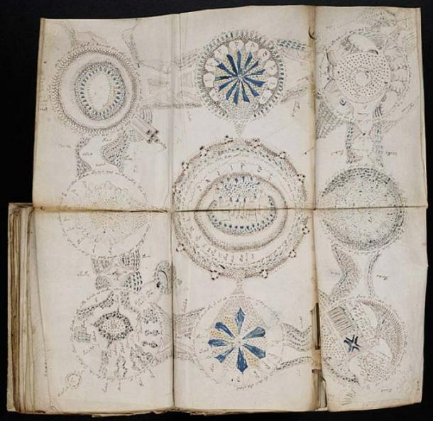 デスコア The Voynich Code / Aquavitae サイン入り Has the Enigmatic Voynich Manuscript Code Finally Been Cracked