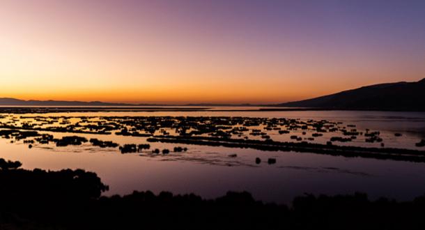 South shores of Lake Titicaca 