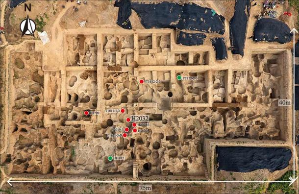 Distribución espacial de las monedas en el área de excavación de la fundición: puntos rojos: depósito con moldes de arcilla; puntos verdes: depósitos con fragmentos de piezas de pica acabadas. (Z. Qu / Antiquity Publications Ltd)
