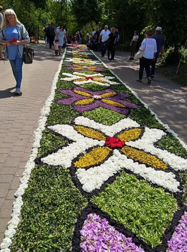 Every year at Corpus Christi, parishioners from Spycimierz in Poland lay a two-kilometer-long colorful carpet of flowers.