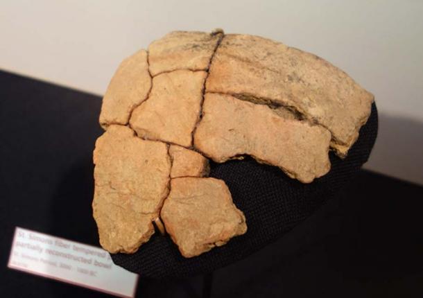 St. Simons fiber tempered pottery, partially reconstructed bowl, St. Simons Period, 3000-1000 BC - Fernbank Museum of Natural History.
