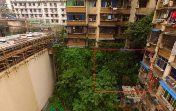 The ‘Buddha’ statue (location identified with the red square) used to be covered by dense foliage. (Weibo)