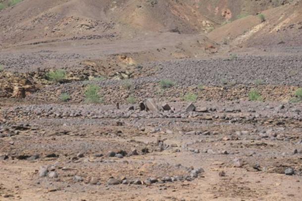 Stone circles and pillars and cairns found at Lotham North Site. (Image: turkanabasin.org)