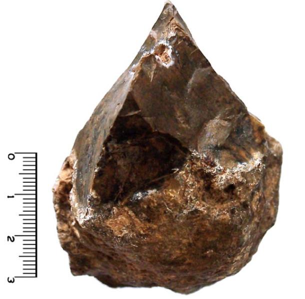 Stone tool known as an Oldowan chopper. (Locutus Borg / CC BY-SA 2.5)